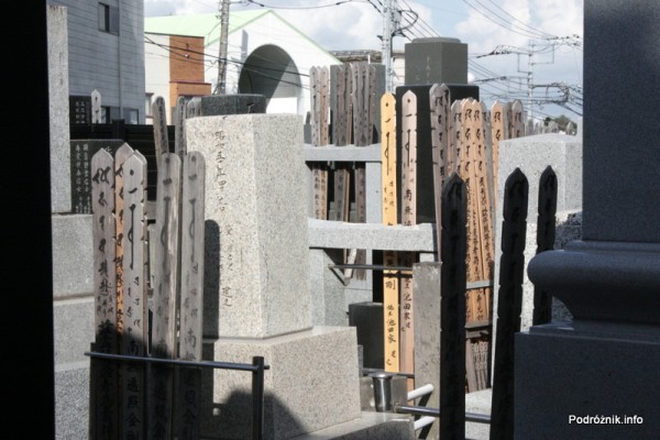 Japonia - Narita - cmentarz - sierpień 2012