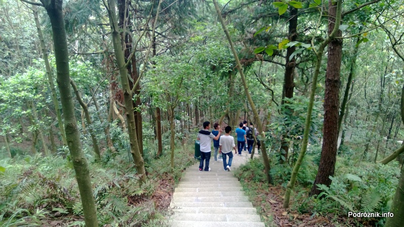 Chiny - Shenzhen - ogród botaniczny - schodzenie po schodach z góry - kwiecień 2013