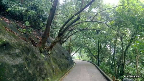 Chiny - Hongkong - Wzgórze Wiktorii (The Peak) - stroma ścieżka otoczona zielenią - kwiecień 2013