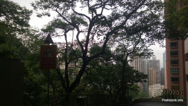Chiny - Hongkong - Wzgórze Wiktorii (The Peak) - pierwsze widziane już z dołu wieżowce podczas schodzenia - kwiecień 2013