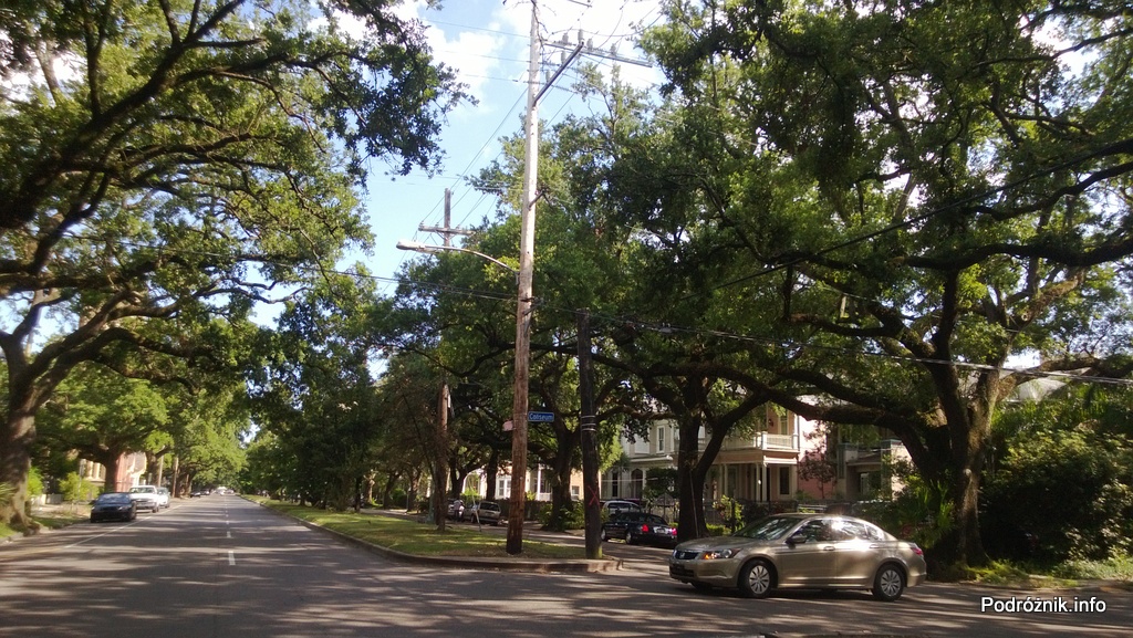 USA - Nowy Orlean - stare dęby wzdłuż Louisiana Ave - czerwiec 2013