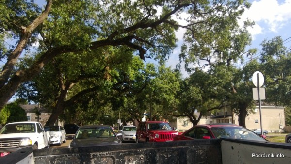 USA - Nowy Orlean - korony starych dębów nad ulicą przy Louisiana Ave - czerwiec 2013