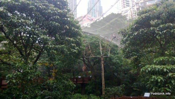 Chiny - Hongkong  - Hong Kong Park - ptaszarnia - woliera - (aviarium) - wewnątrz  - kwiecień 2013