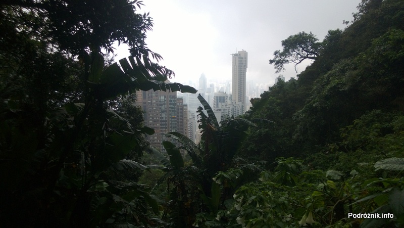 Chiny - Hongkong - Wzgórze Wiktorii - panorama miasta widziana podczas wchodzenia na The Peak - kwiecień 2013