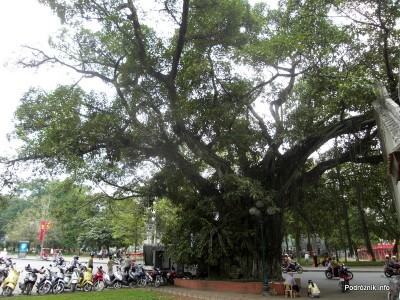 Wietnam - Hanoi - kwiecień 2012