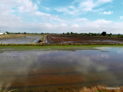 Tajlandia - maj 2012 - widok z pociągu pomiędzy Bangkok a Aranyaprathet