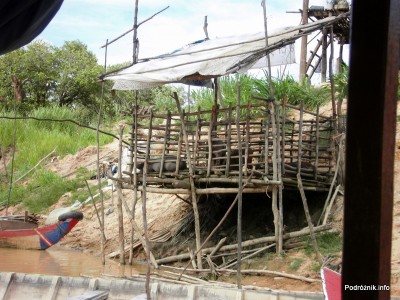 Kambodża - Siem Reap - maj 2012 - Floating Village - trzoda chlewna