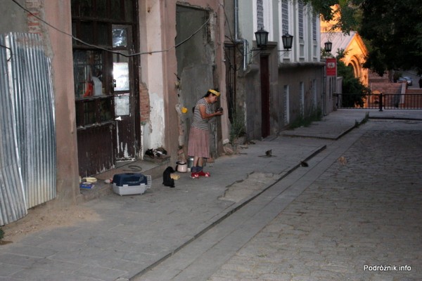 Gruzja - Tbilisi - sierpień 2012 - kobieta karmiąca psy i koty