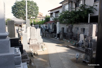 Japonia - Narita - cmentarz - sierpień 2012