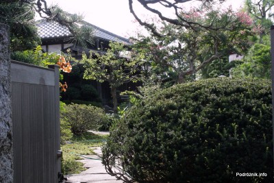 Japonia - Narita - ogród - sierpień 2012