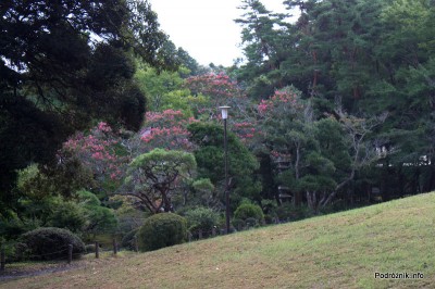 Japonia - Narita - japoński ogród niedaleko Naritasan-Shinshoji Temple - sierpień 2012