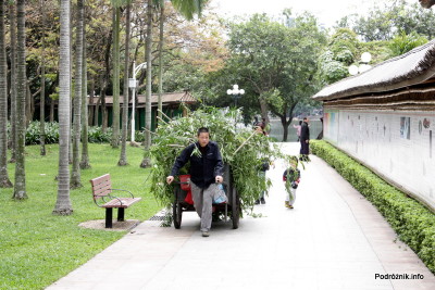 Chiny - Shenzhen - park przy stacji metra Tongxinling - ogrodnik ciągnący wóz ze ściętymi gałęziami - kwiecień 2013