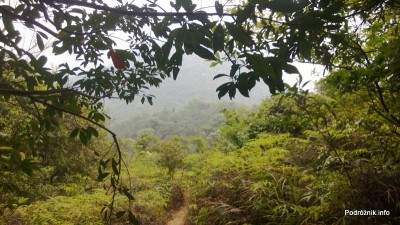 Chiny - Shenzhen - ogród botaniczny - zamglona panorama widoczna podczas podchodzenia pod górę - kwiecień 2013