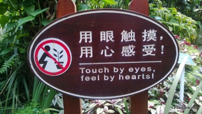 Chiny - Shenzhen - ogród botaniczny - Shade Loving Plants Garden - Touch by eyes, feel by hearts! - kwiecień 2013