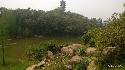 Chiny - Shenzhen - ogród botaniczny - jezioro i pagoda w tle - kwiecień 2013