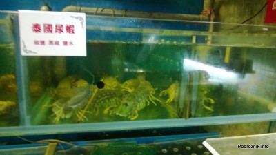 Chiny - Makao - wieczorny spacer po mieście - akwarium z owocami morza w witrynie restauracji - kwiecień 2013