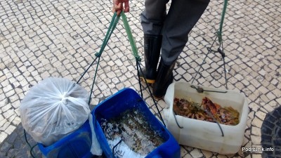 Chiny - Makao - mężczyzna ciągnie pojemniki ze świeżymi owocami morza - kwiecień 2013