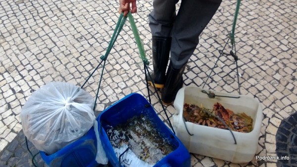 Chiny - Makao - mężczyzna ciągnie pojemniki ze świeżymi owocami morza - kwiecień 2013