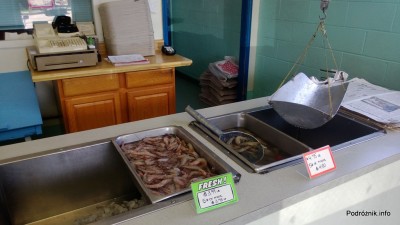 USA - sklep z owocami morza na przedmieściach Nowego Orleanu - świeże krewetki - czerwiec 2013