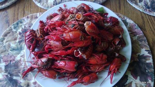 skorupki po zjedzeniu raków - czerwiec 2013