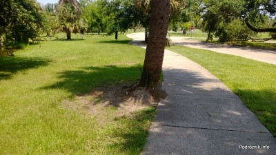 USA - New Orleans City Park - czerwiec 2013