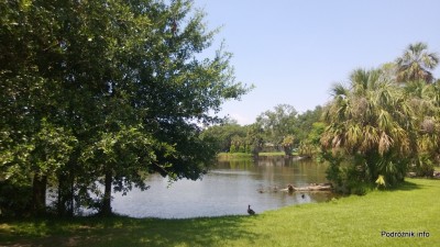 USA - New Orleans City Park - czerwiec 2013