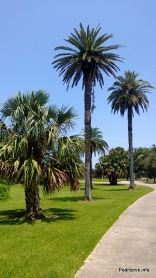 USA - New Orleans City Park - czerwiec 2013