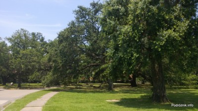 USA - New Orleans City Park - czerwiec 2013