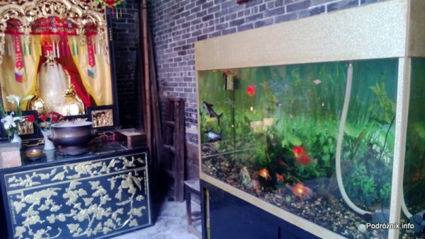 Chiny - Makao - akwarium w Hong Kung Miu Temple - kwiecień 2013