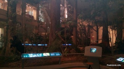 Chiny - Hongkong - Muzeum Historii - kwiecień 2013